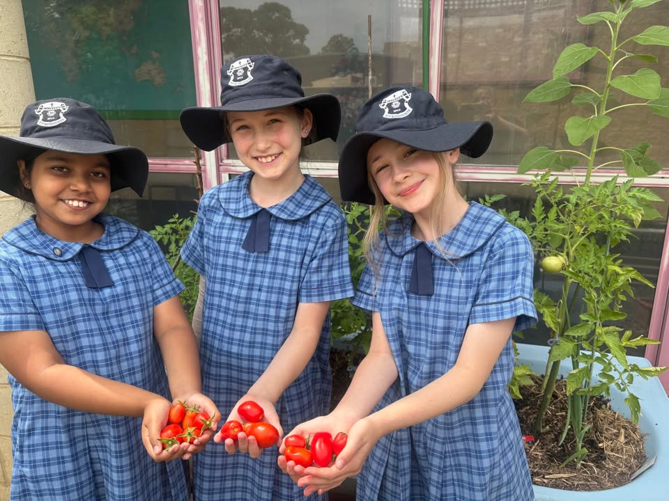 741601557965295_1400417255417052-1