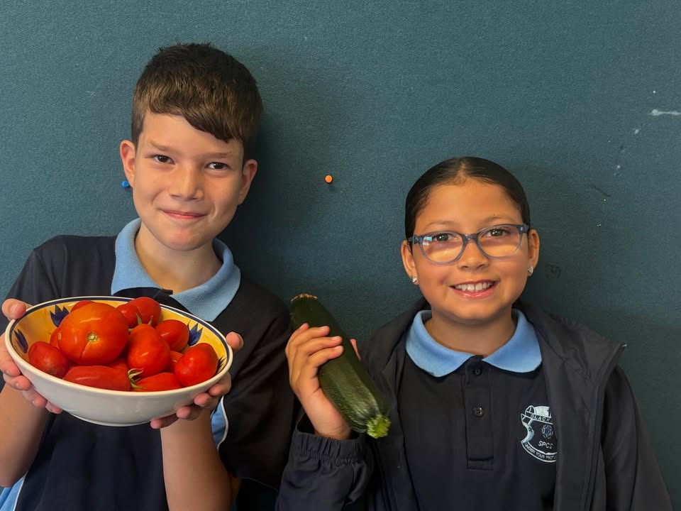 741601557965295_1422492593209518-1