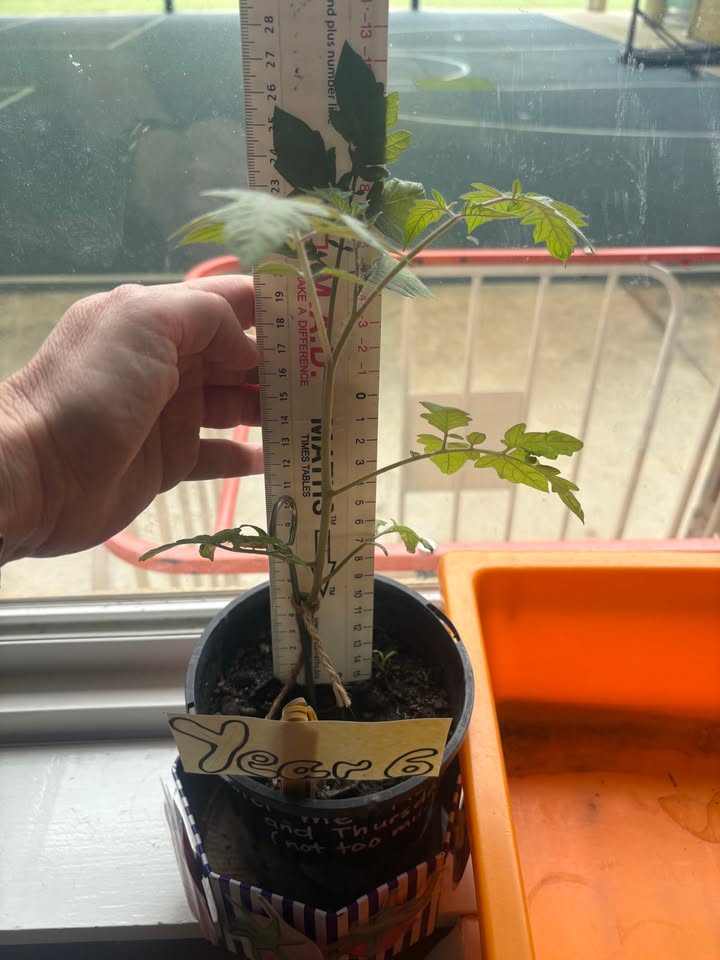 741601557965295_1422493516542759-1