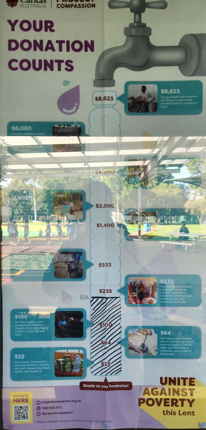 741601557965295_1496015082523935-1