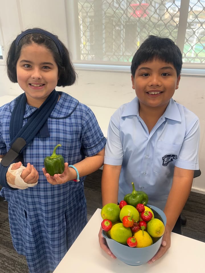 741601557965295_1498030022322441-1