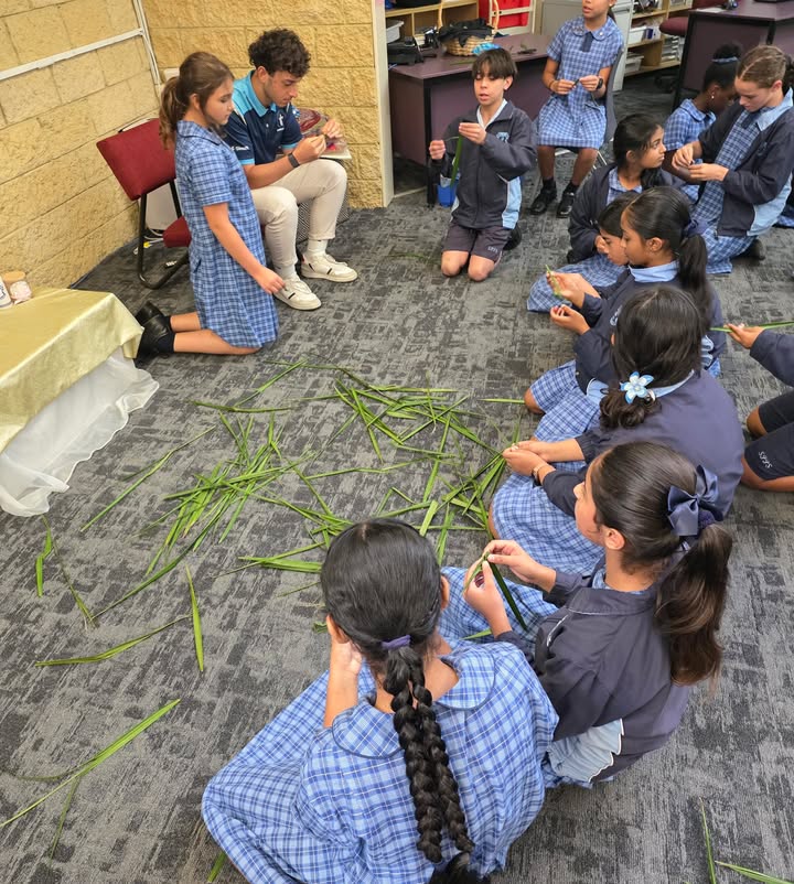 741601557965295_1509909031134540-1