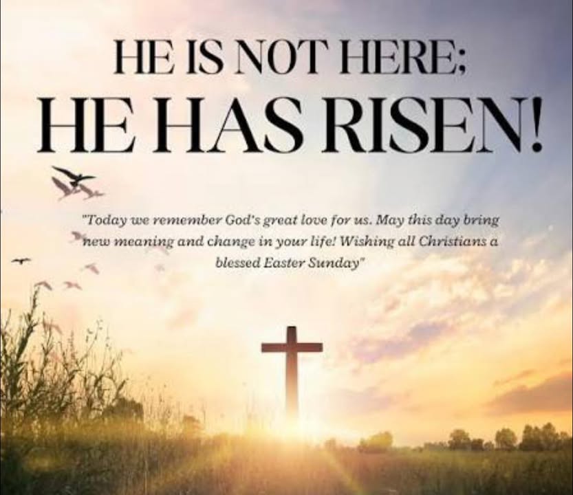 741601557965295_1517304950394948-1