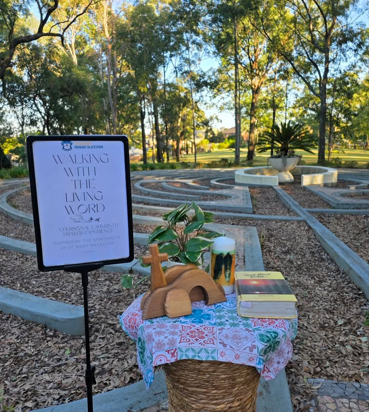 741601557965295_1531719458953497-1